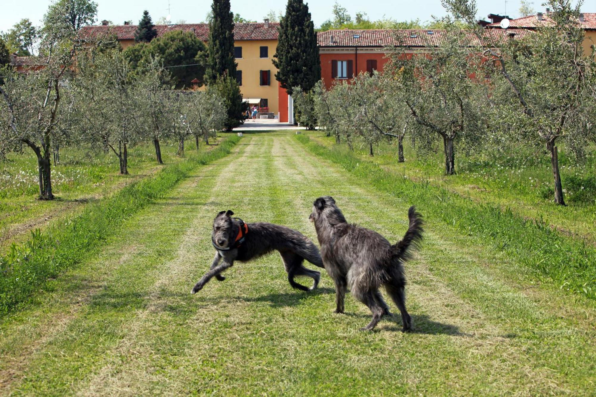 Agriturismo La Filanda Manerba del Garda Luaran gambar